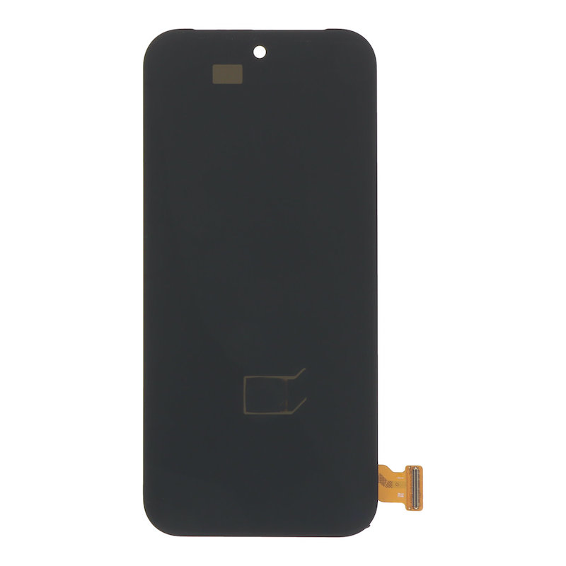 Google Pixel 9 Pro, skærm med ramme (Oem)