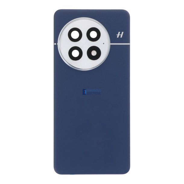 OnePlus 13, Bagglas i Bl