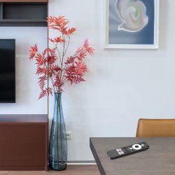 Android TV 4K HDR m. Fjernbetjening (Chromecast)