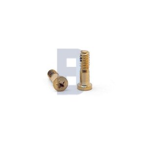 iPhone 5/5S/SE bund skrue st i Guld